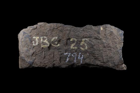 Image of Last Existence: Birth Cycle; donors