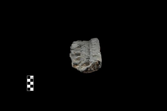 Image of Last Existence: First Sermon, Buddha’s death