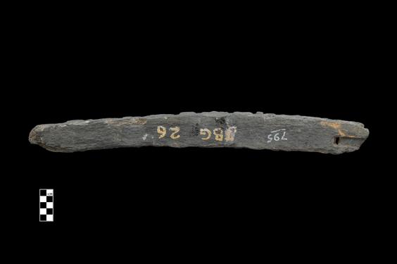 Image of Last Existence: First Sermon, Buddha’s death