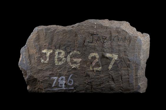 Image of Last Existence: Great Departure; donors