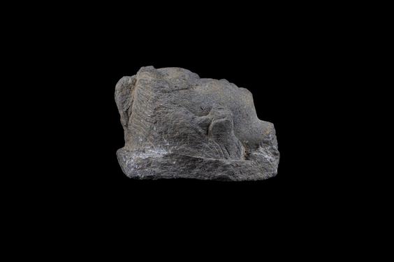 Image of Maitreya head