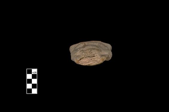 Image of Bodhisattva