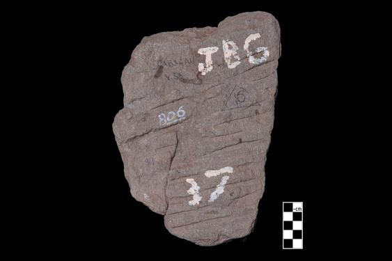 Image of Buddha and bodhisattva