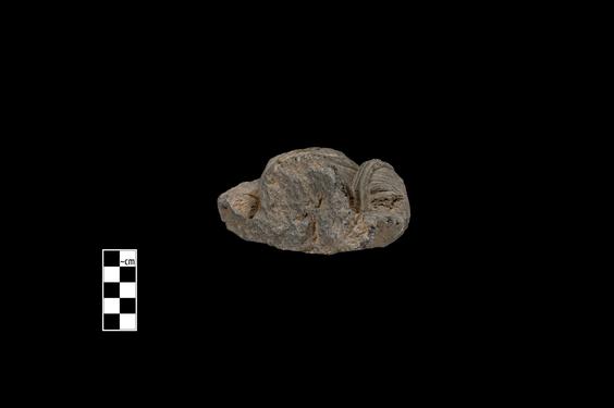 Image of Bodhisattva