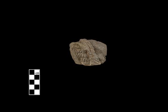 Image of Male figure