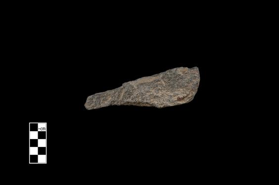 Image of Pipal scroll