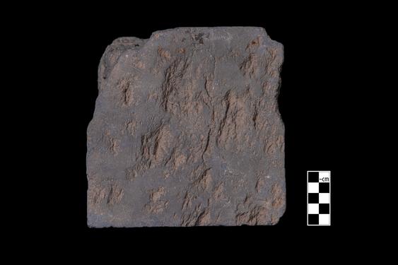 Image of Buddha and devotees