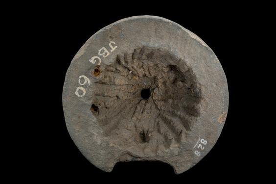 Image of Stūpa dome