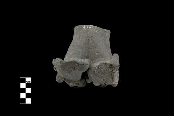 Image of Centaurs couple