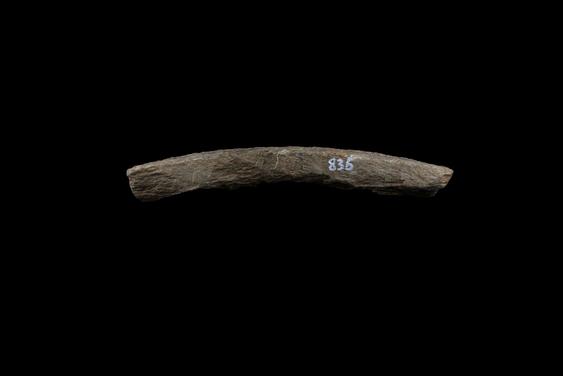 Image of Last Existence: Princely Life