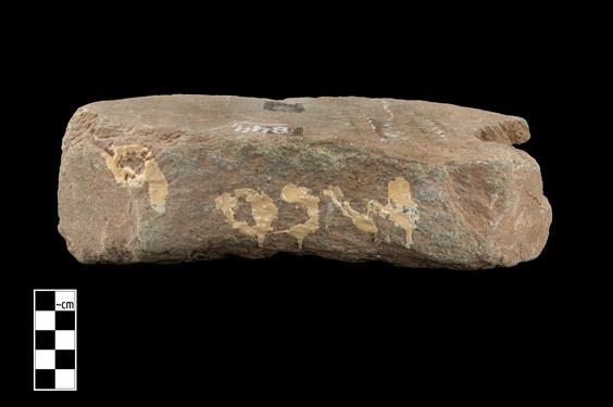 Image of Last Existence: Birth Cycle