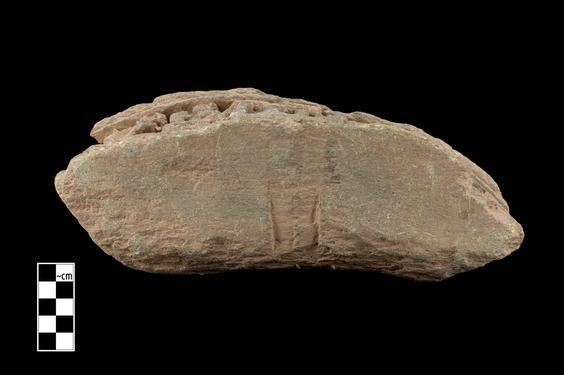 Image of Last Existence: Birth Cycle