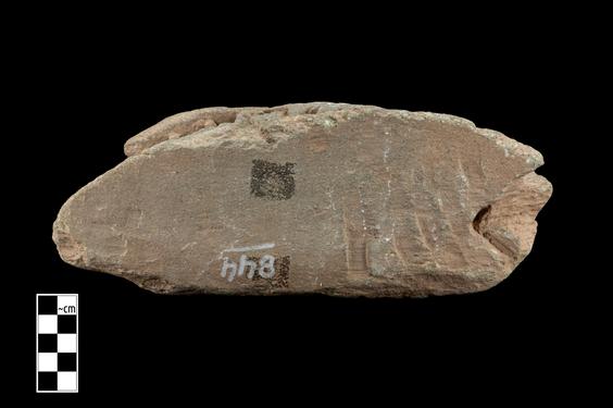 Image of Last Existence: Birth Cycle