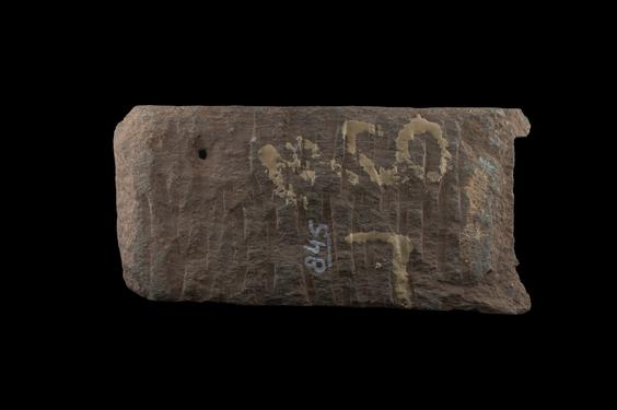 Image of Last Existence: Māyā’s Dream