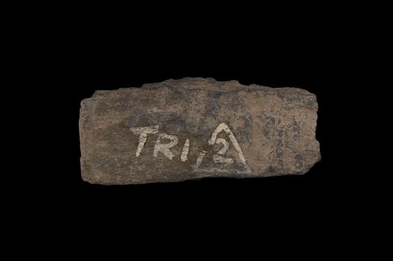 Image of Last Existence: Marriage of the Bodhisattva