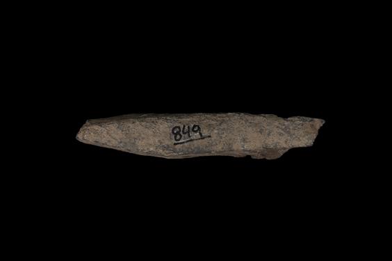 Image of Last Existence: Marriage of the Bodhisattva