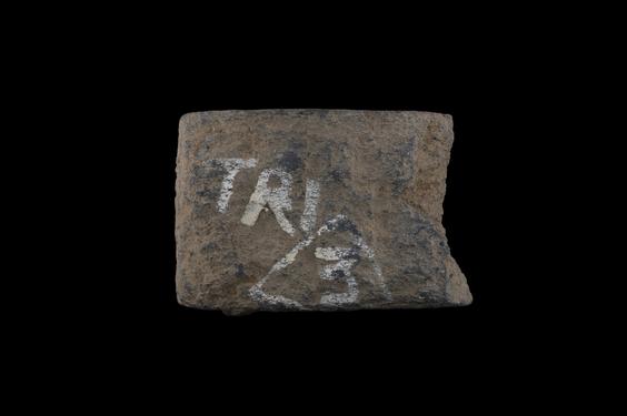 Image of Buddha and devotees