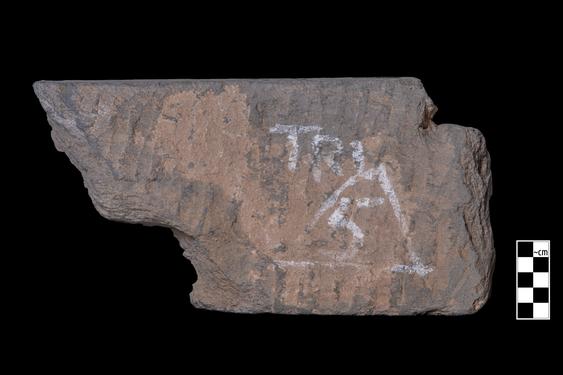 Image of Last Existence: Birth Cycle