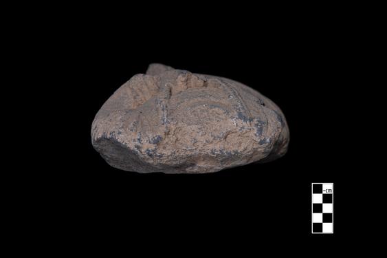 Image of Male devotee