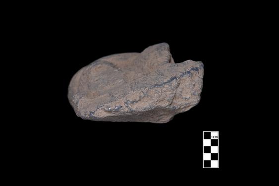 Image of Male devotee