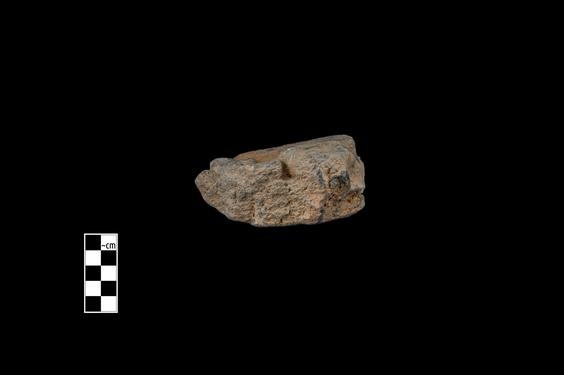 Image of Male devotee