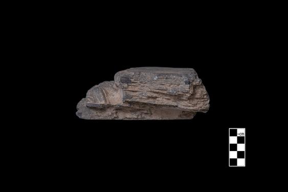 Image of Male figures