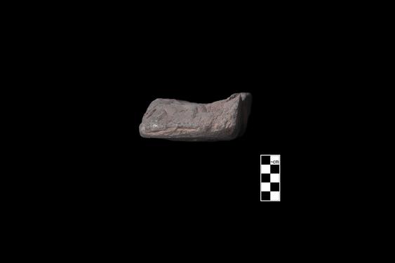 Image of Buddhas and devotees