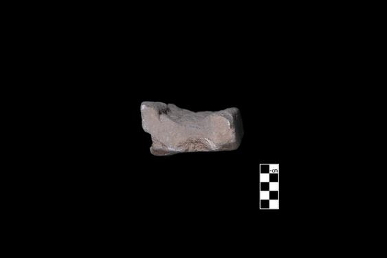 Image of Buddhas and devotees