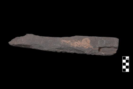 Image of Buddhas and devotees