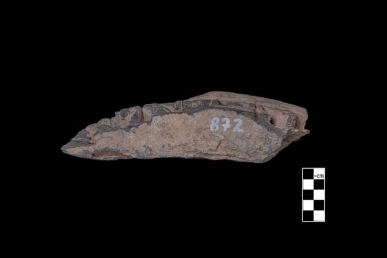 Image of Last Existence: Princely Life