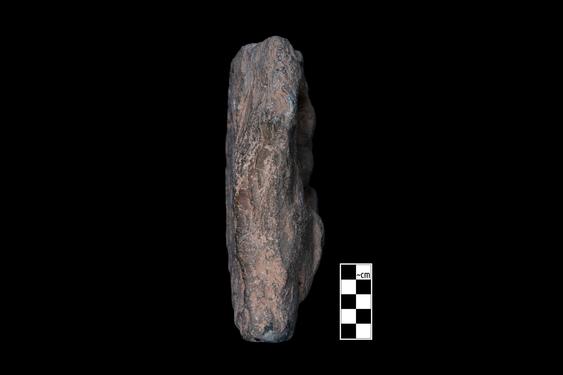 Image of Last Existence: The Bodhisattva watching sleeping women