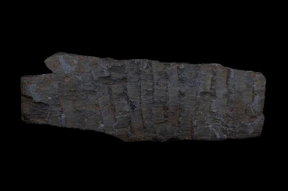 Image of Last Existence: The Bodhisattva watching sleeping women