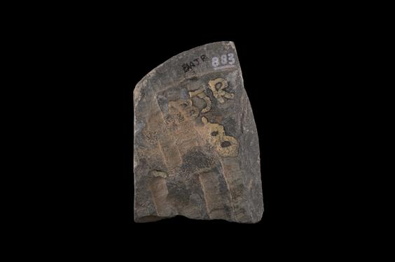 Image of Scenes of adoration