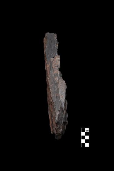 Image of Previous Births: Dīpaṃkara Legend; Bodhisattvas with devotees