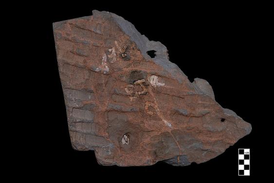 Image of Previous Births: Dīpaṃkara Legend; Bodhisattvas with devotees