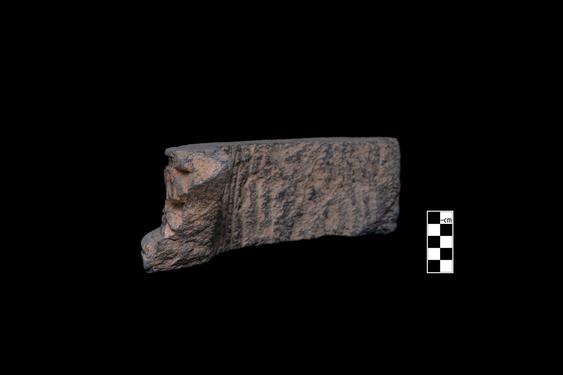 Image of Last Existence: Visit of the Ascetics