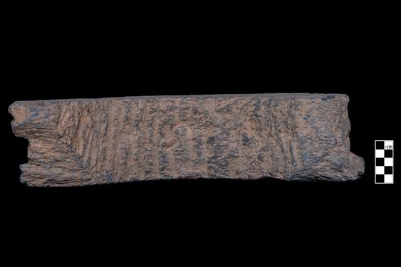 Image of Last Existence: Visit of the Ascetics