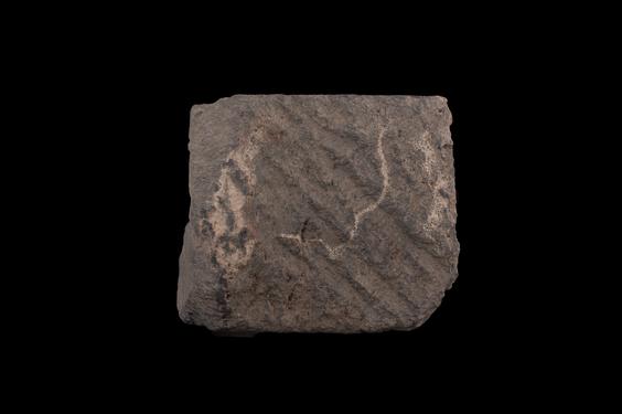 Image of Last Existence: Buddha’s Birth