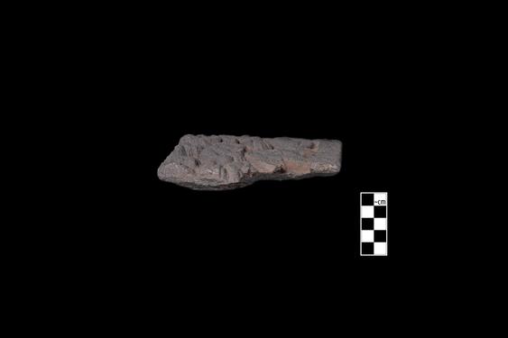 Image of Previous Births: Dīpaṃkara Legend