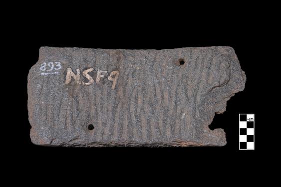 Image of Previous Births: Dīpaṃkara Legend