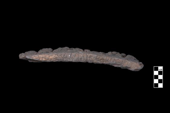 Image of Previous Births: Dīpaṃkara Legend