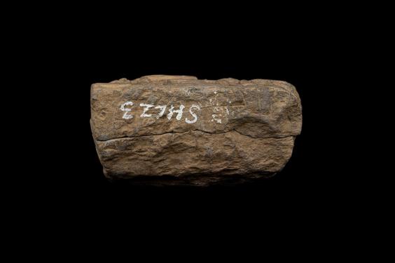 Image of Adoration of the relics