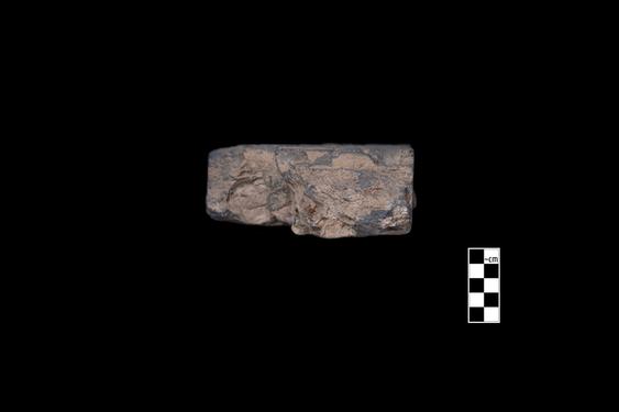 Image of Buddha and devotee