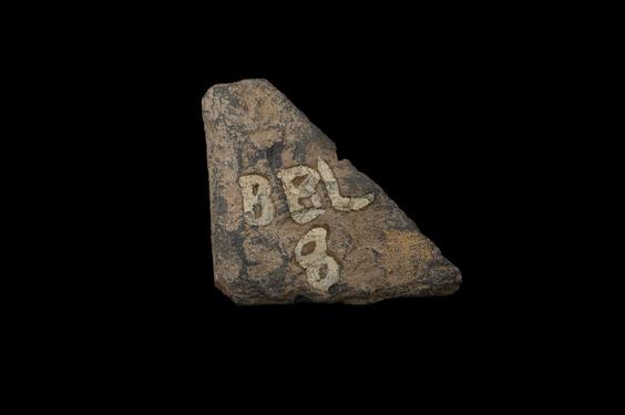 Image of Last Existence: Buddha's Birth