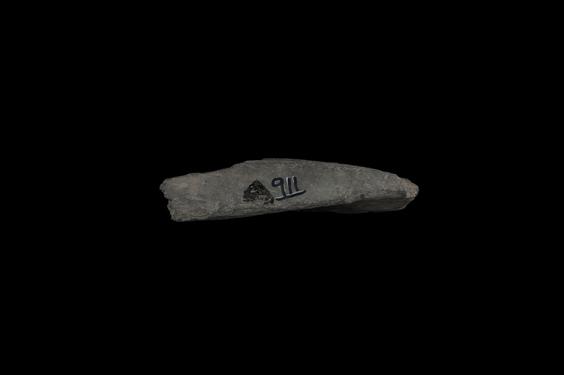 Image of Last Existence: Birth Cycle; figures