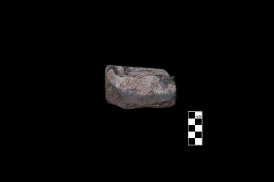 Image of Buddha and devotee