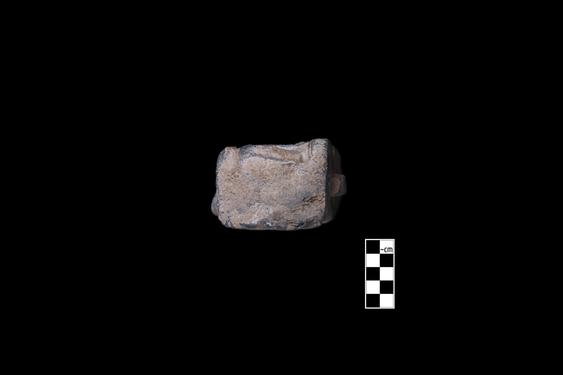 Image of Buddha and devotee