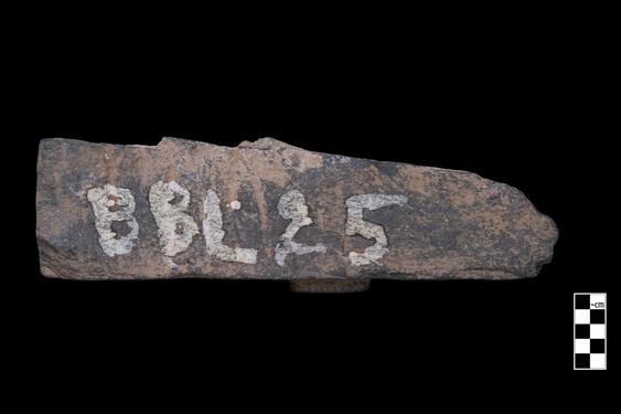 Image of Buddha and devotee