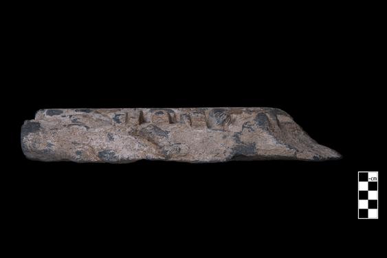 Image of Buddha and devotee