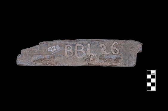 Image of Last Existence: Buddha’s death